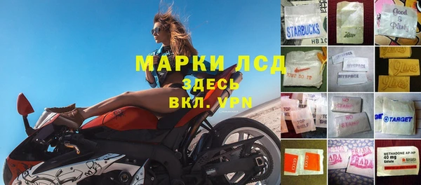 сатива Бабаево
