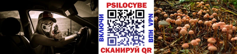 Галлюциногенные грибы Magic Shrooms  как найти наркотики  сайты даркнета клад  Валдай 